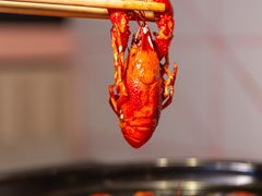 -松哥油焖大虾.小龙虾.黑鸭煲(海岸城店)
