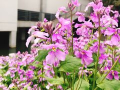 -USTC1958东区·by UNILAB