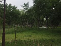 -回龙观体育文化公园