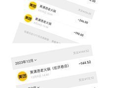 -黄潇洒老火锅(九眼桥宏济巷店)