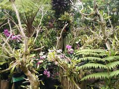 -南通洲际绿博园