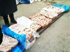 -保定市花鸟鱼虫市场