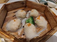 -宝园酒家(美林M·LIVE天地东座店)