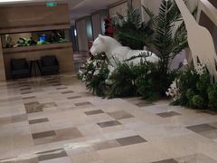-云天楼国鼎喜宴中心(国鼎店)
