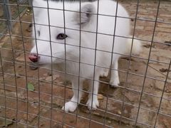 -武汉紫薇都市田园