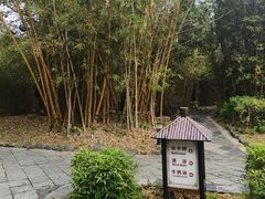 -森波拉火山温泉