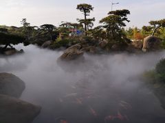 -罗红摄影艺术馆