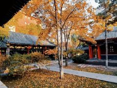 -碑林公园