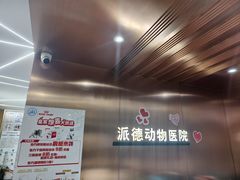 -pd派德宠物中心医院24H急重症·眼科中心·血液透析中心(嵩山北路店)