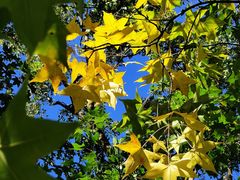 -北京鹫峰国家森林公园