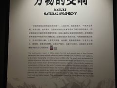-四川大学博物馆