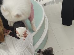 -怪兽屋·羊驼·猫咖·狗咖(俊华广场店)