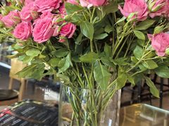 -萨尔瓦多Salvador's
