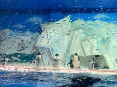 -海合安天津极地海洋公园