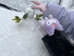 -南京维景国际大酒店(南京博物院店)