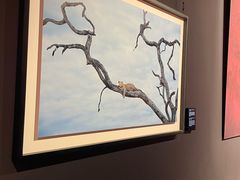 -罗红摄影艺术馆