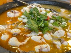 -大鼎石锅鱼(春江里店)
