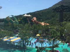 -苏州乐园森林水世界