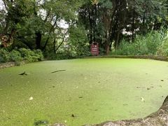 -成都市活水公园