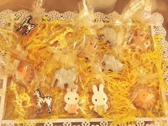 -Timo队长·高端生日派对策划机构(静安寺店)