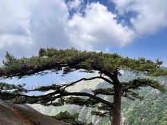 -黄山风景区