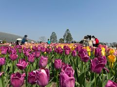 -上海辰山植物园