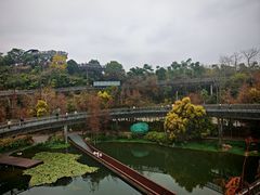 -福道