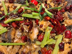 -老板恋上鱼(印象城店)