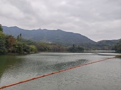-深圳仙湖植物园