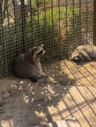 -萌宠亲子动物乐园(槐房万达店)