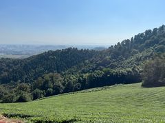 -敬亭山风景名胜区