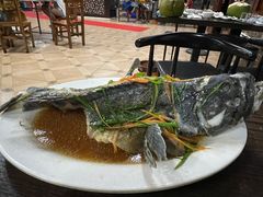 石斑鱼-神州好味道饭店