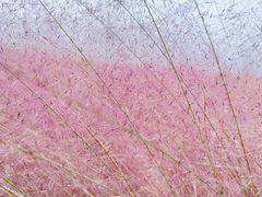 -嘉北郊野公园