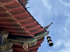 -葛仙湖公园