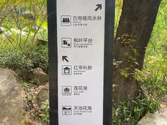 -广州市石门国家森林公园