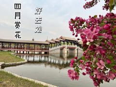 -西海子公园