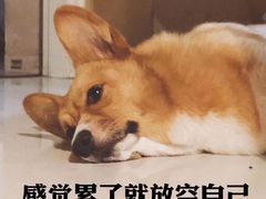 -爷爷的草帽·海鲜馆(孙塘路店)