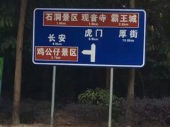-东莞市大岭山森林公园