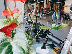 -天行健身＆天行拳馆跆拳道·格斗TXGYM