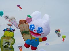 -潍坊滨海云门国际风筝放飞场