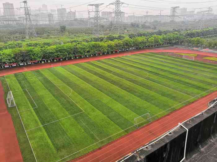 重庆大学城第三中学校