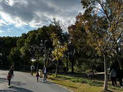 -昆山城市生态森林公园