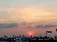 -合肥滨湖国家森林公园