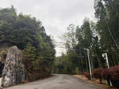 -炎陵县神农谷国家森林公园
