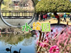 -水绘园