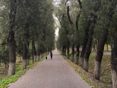 -东郊湿地公园