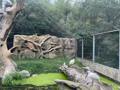 -沈阳鸟岛