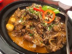 生态甲鱼-火焰金龟甲(汉阳江滩旗舰店)