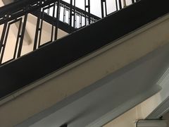内景-明复图书馆