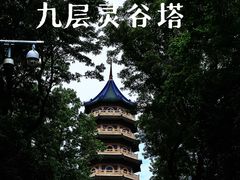 -灵谷景区